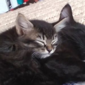 Meet your Posher, Katherine